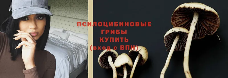 Псилоцибиновые грибы Magic Shrooms  Красавино 